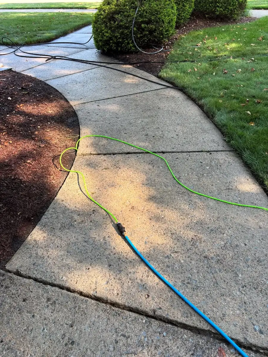 Clean sealed walkway after concrete cleaning and sealing in Okemos, MI