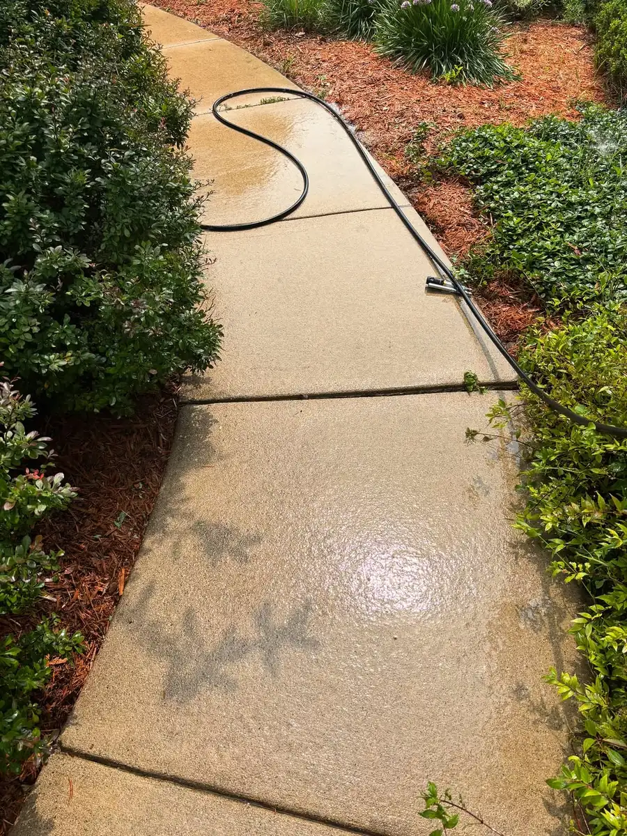 Restored concrete walkway after professional concrete cleaning in Okemos, MI