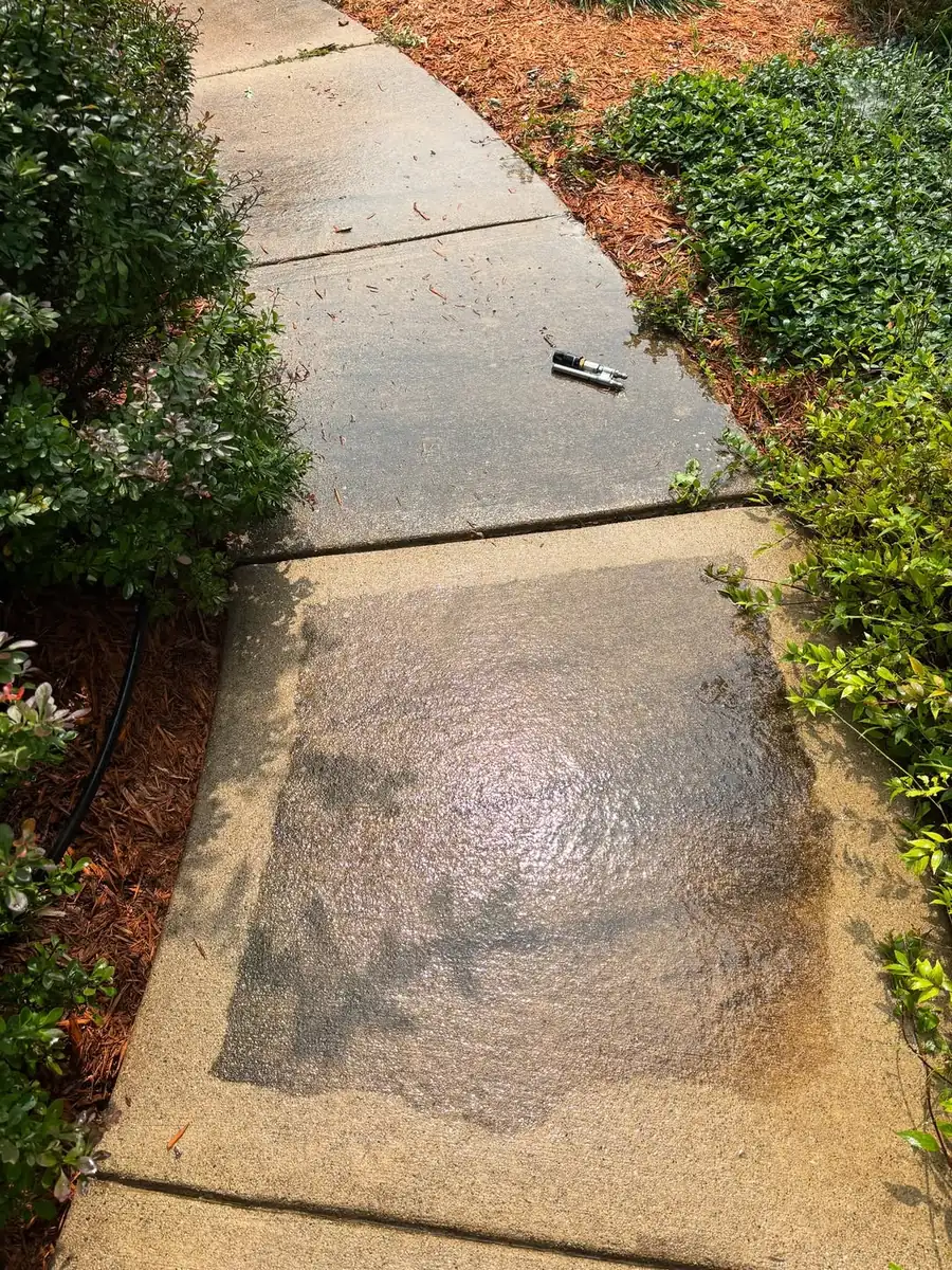 Concrete walkway covered in dirt and algae before cleaning in Okemos, MI