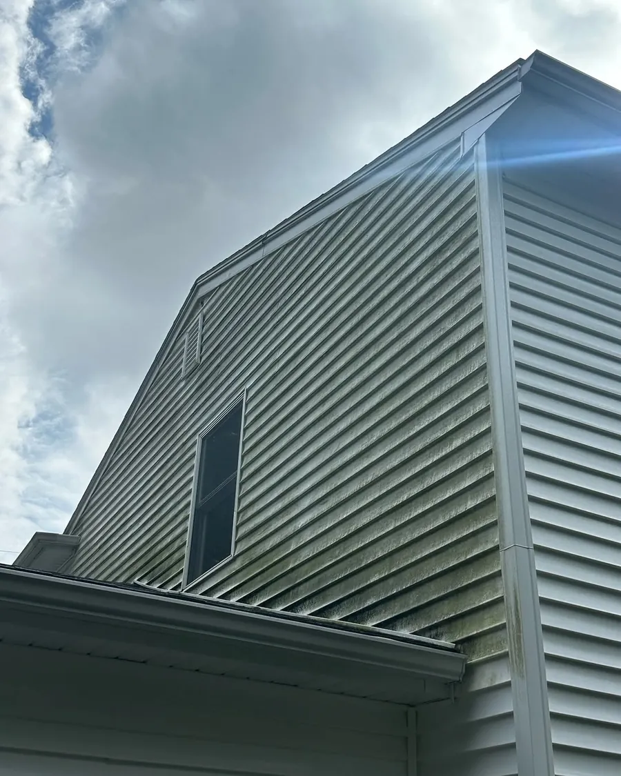 Green algae growth on home siding before house washing in Okemos, MI