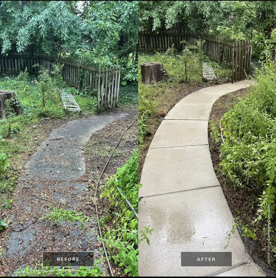Before and after of a concrete walkway cleaned to remove dirt, moss, and algae buildup