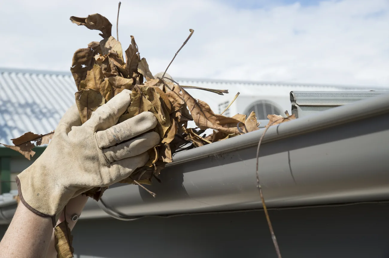 Gloved hand lifting a handful of dry leaves out of a gutter under a blue sky