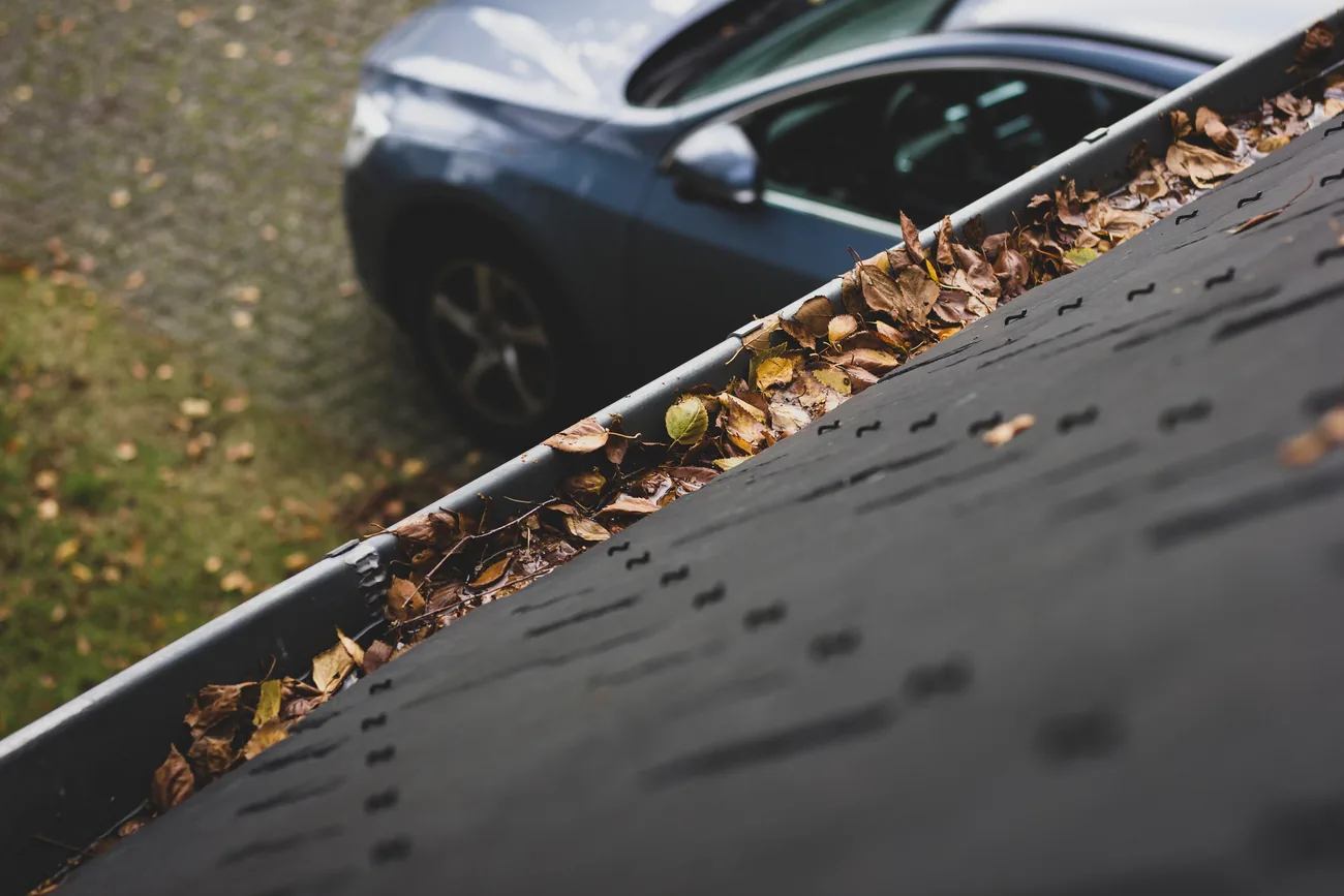 Gutter packed with wet fallen leaves running along a roof edge above a driveway