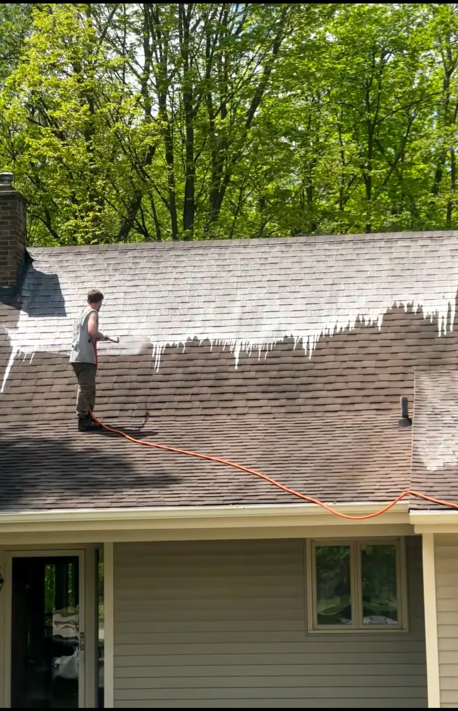 Technician on a roof soft washing algae and black streaks from asphalt shingles